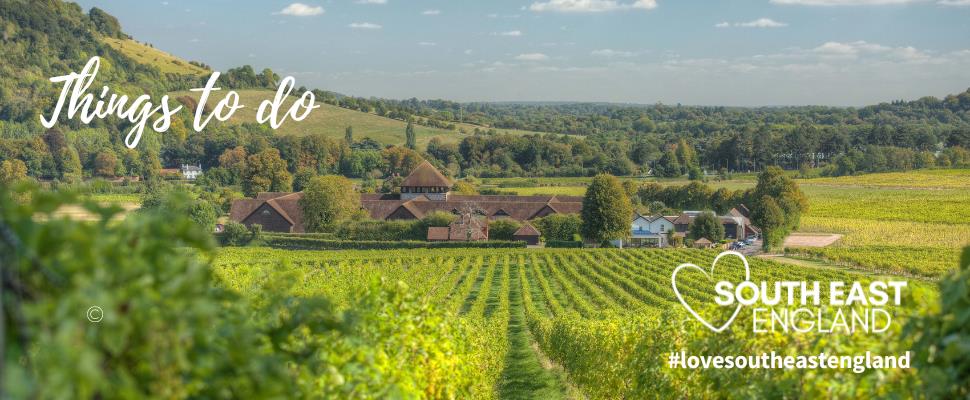 South East England's Award Winning Vineyards | Credit: Denbies Wine Estate