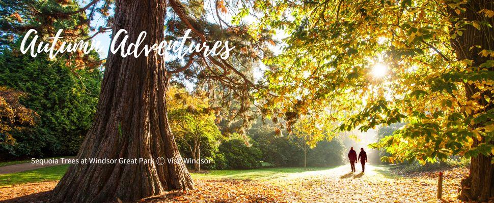 Autumn Adventures, Windsor Great Park