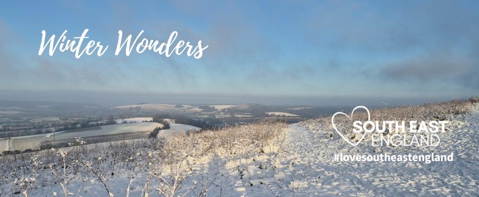 Queen Elizabeth Country Park | Hampshire