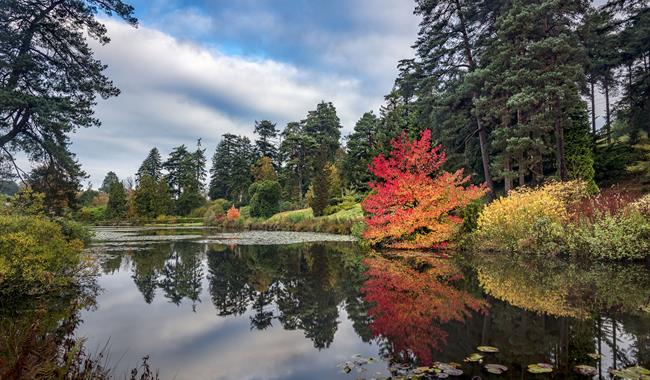 Bedgebury National Pinetum & Forest