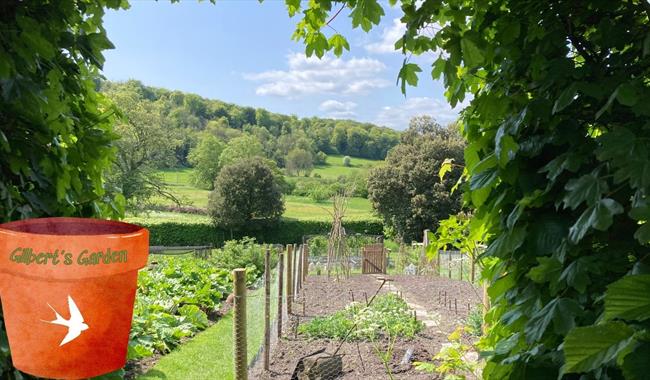 Gilbert's Garden: Kitchen Garden Planting & Spring Bulb Day