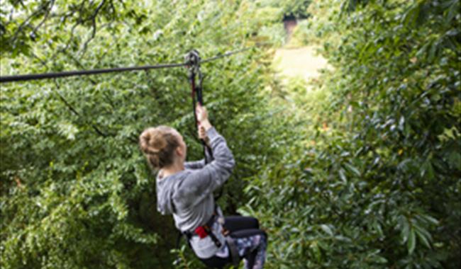 Go Ape Leeds Castle