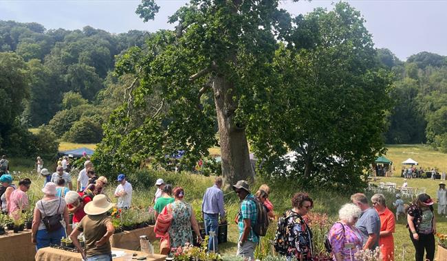 Plants Fair