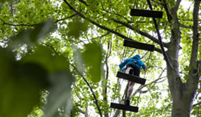 Child taking on the high ropes challenge at Leeds Castle Go Ape
