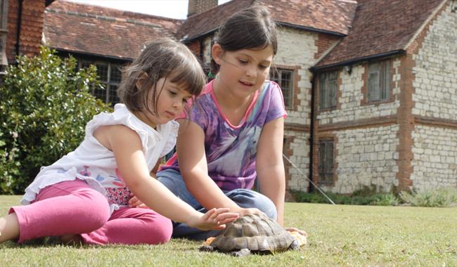 Two children petting a tortoise
