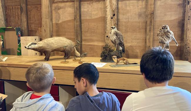 Children sketching taxidermy animals