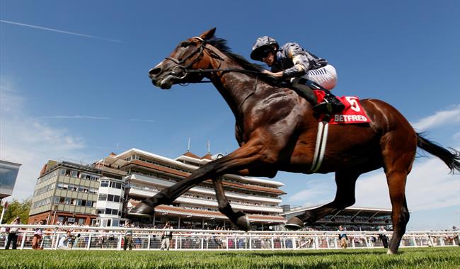 Newbury Racecourse