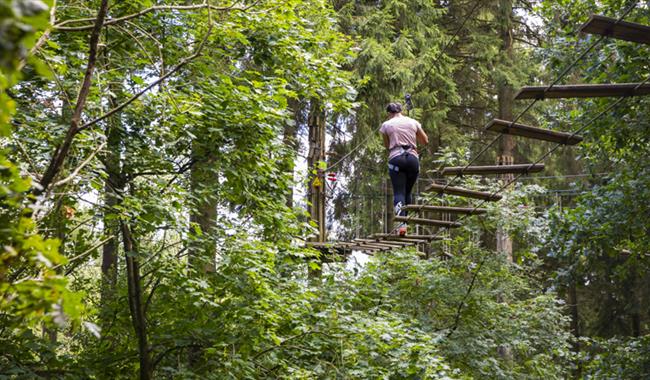 Go Ape in the South East