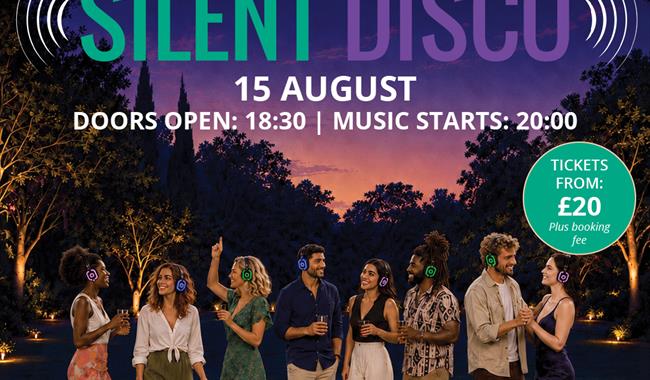Adult Silent Disco