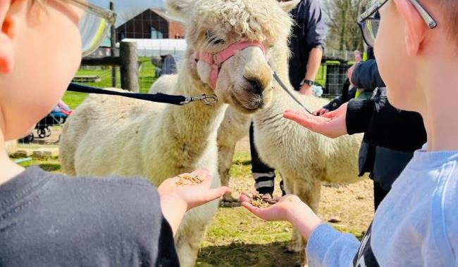 Aldingbourne Country Centre