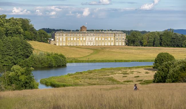 Petworth House and Park