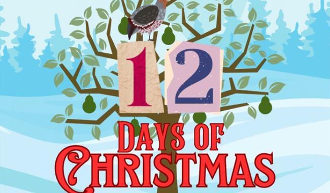 12 days of Christmas trail at Painshill, Surrey