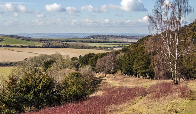 Watlington Hill, Oxfordshire