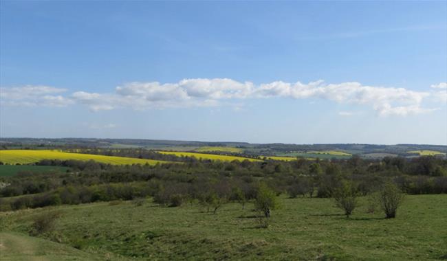 Stockbridge Down, Hampshire