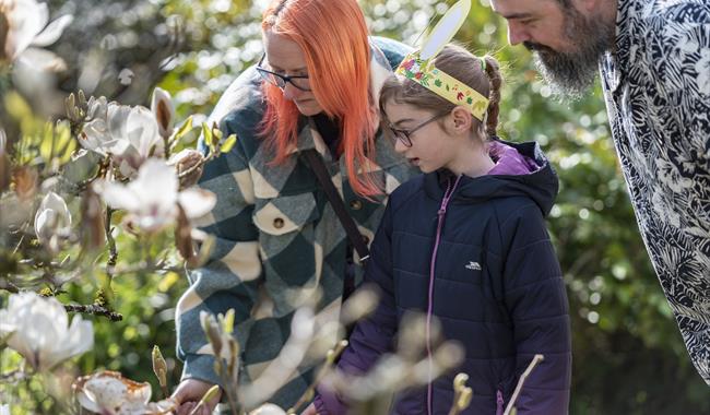 A family of three looking at a magnolia tree in the garden