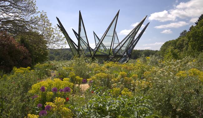 Woolbeding Gardens, National Trust, Credit Laurence Perry