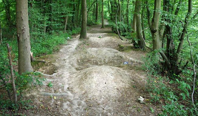 The Cuckoo Trail, Wealden