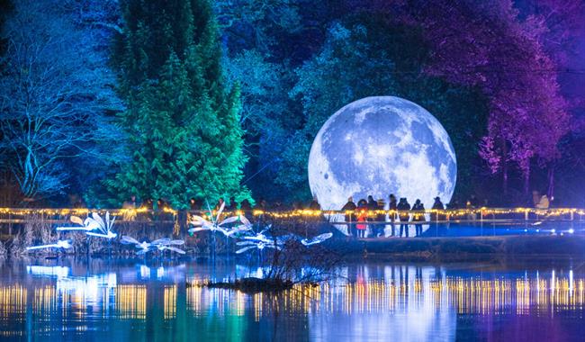 Leonardslee Lights - festive illuminations trail in West Sussex