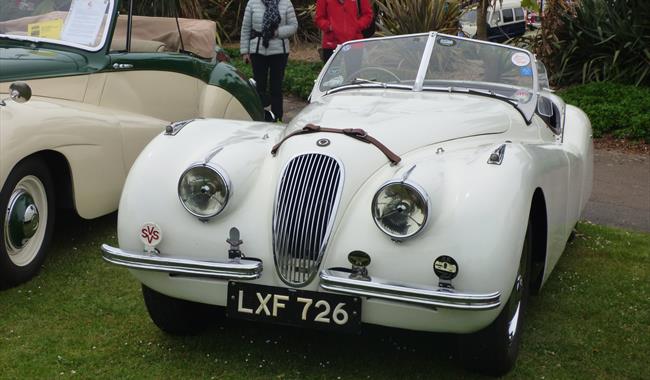 White Jaguar car