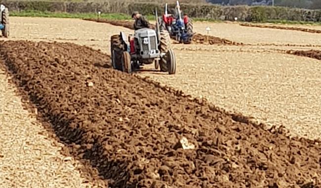 Ploughing Match & Exhibition