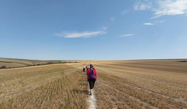 Walkers walking path through golden stubble fiedl towards blue sky horizon