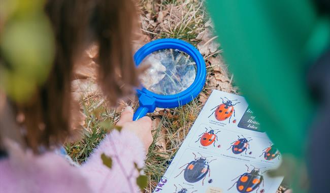 A child looking through a magnifying glass at the ground