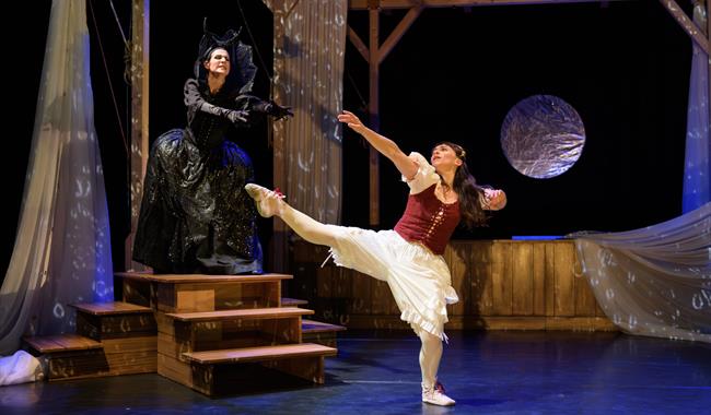 Luca Silvestrini's The Magic Flute