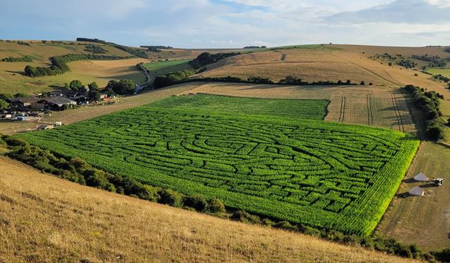 Aerial view of the South Farm maize maze set in the South Downs countryside near Lewes, East Sussex