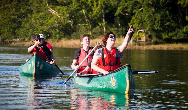 Beaulieu River Tours with New Forest Activities