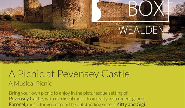 Picnic at Pevensey