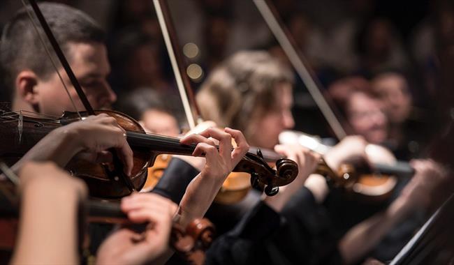 Violinists performing