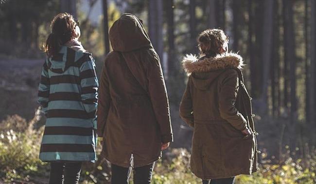 Forest Bathing for Grief Support