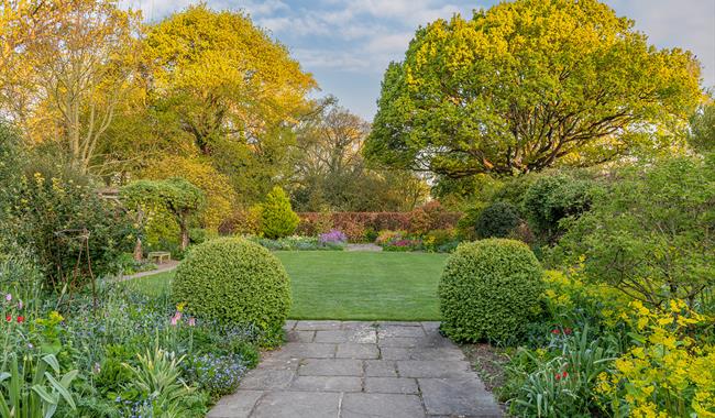 View of oak tree and herbaceous borders in the Middle Garden