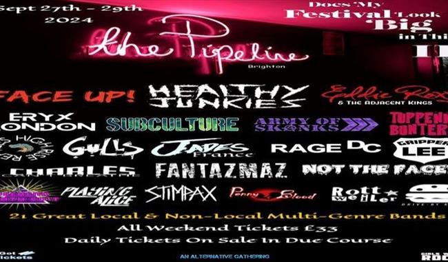 Does My Festival Look Big In This' 2