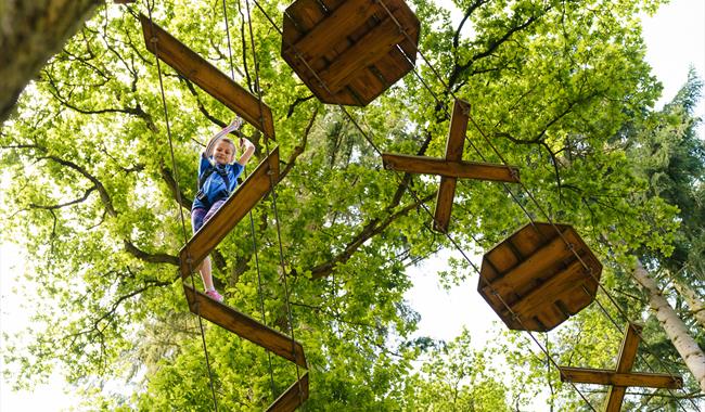child walking across a bridge on a high ropes course at Go Ape Moors Valley