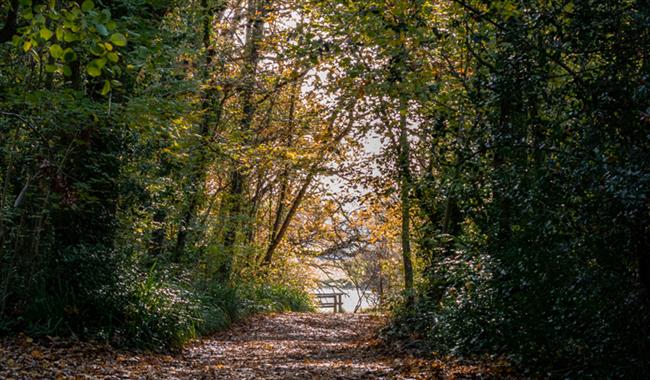 River Hamble Country Park