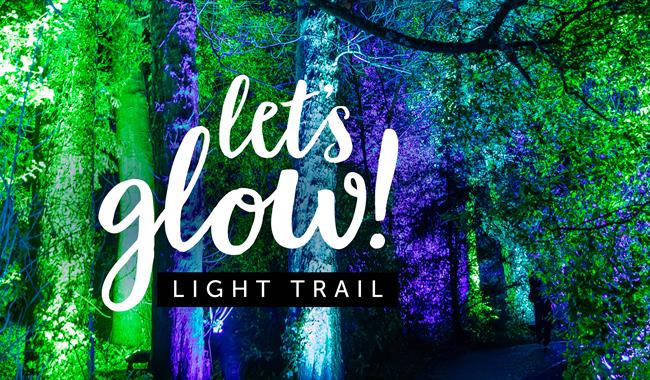 Let's Glow! Basingstoke