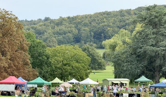West Dean Gardens Plant Fair