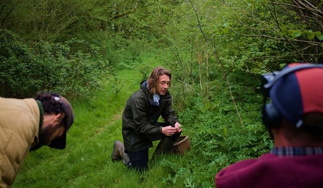 Foraging at West Dean