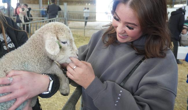 girl_holding_a_lamb