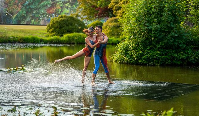 Wanderwild at Wakehurst, Visual Air © RBG Kew
