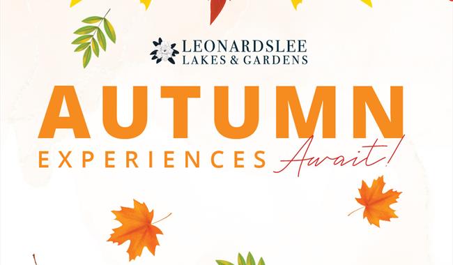 Autumn workshops