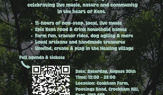 Meri Festival Flyer