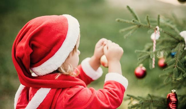 Christmas at Borde Hill