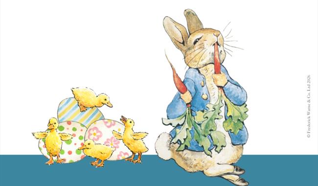 Peter Rabbit and Easter Chicks, Milestones Museum