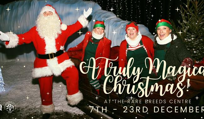 Santa and 2 elves