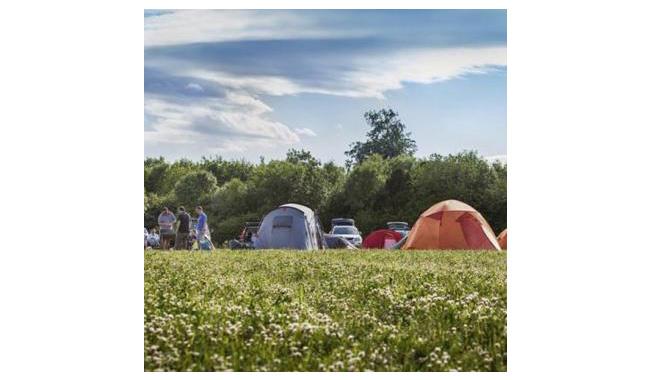 Abbotstone Wood Camping