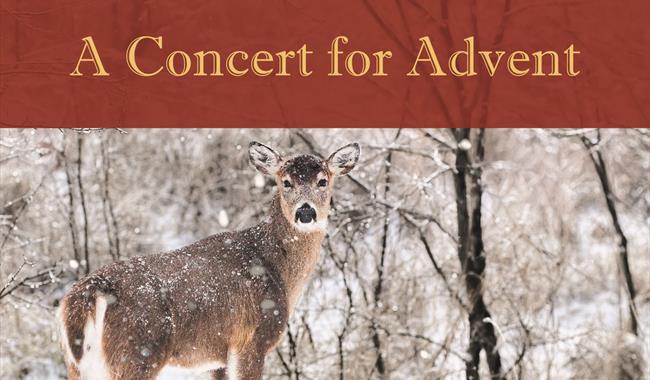 A concert for Advent at Alfriston