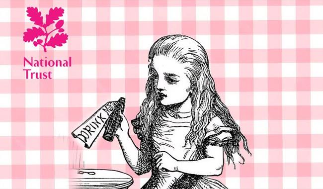 Illustration of Alice from Alice in Wonderland on a pink background