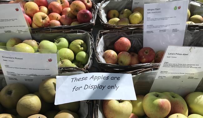 Apple Day at Houghton Lodge Gardens